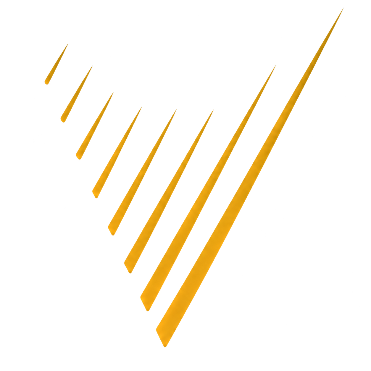 VAYA FOUNDATION